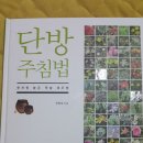 단방