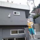 날라리 생선가게 이미지