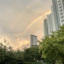 부론초등학교 | 강원 농촌유학 학교 선택기_5 (1차 탈락, 추가모집)