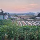 파주비젼부동산공인중개사사무소 이미지