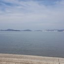 평산횟집 민박 이미지