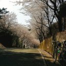 합천황매산펜션 이미지