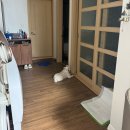 두계장옥 | [운동일기] 주 5회 새벽수영하기🏊🏻‍♀️