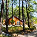 백운산자연휴양림 이미지