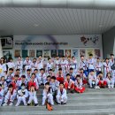 국가대표 태비태권도 이미지