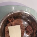 마이멍멍 이미지