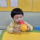 풍선 문어 만들기 이미지