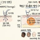 소통마취통증의학과의원(의원471) | 수면써마지 아무 곳에서나 받으면 안되는 이유<마취과전문의>