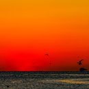 새바지길 이미지