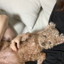 준희사 | 7월 둘째주) 대구 여행하는 대구사람