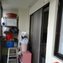 소답동203 이미지