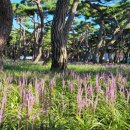 황성공원 이미지