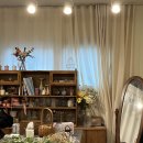 서들플로라