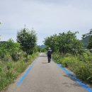 천도리양지마을 티스토리