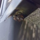 믿음세차장 이미지