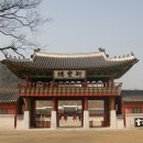 수원-1909 이미지