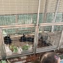 일오공삼 이미지