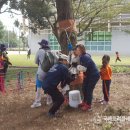 [밧줄놀이] 제주도 비자림 숲힐링센터에서 밧줄놀이 행사를 진행했습니다. 이미지