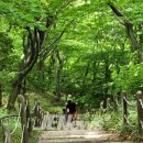 선인6리 | (불교순례길 탐방) "존자암은 유명한 절로 알았더니..속세 생각 이미 함께 사라지네."