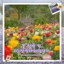 지리산생태체험단지 이미지