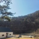 금산 리누갤러리 레스토랑 | 대전 근교 파인다이닝