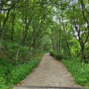 시골할매국수 이미지