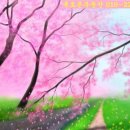 장흥회진우체국 이미지