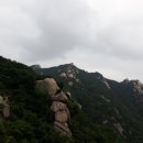 수락이오냉면 이미지