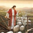 부활 제4주간 월요일 (요한 10,1-10) : 나는 양들의 문이다 이미지