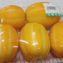 다대동의한의원 이미지