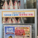 고래등어린이집 | 26년 이마트 고래잇 전단 3월 - (2/28일방문후기)