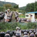 고천마실 네이버블로그