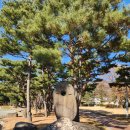 NR-22[중앙로]-상-257 | 괴산 연풍성지 천주교연풍성당 향청 연풍초등학교 풍락헌