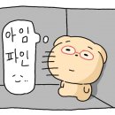 화이트벨 이미지