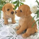 오리엔탈 이미지