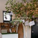 모멘토하우스 이미지