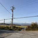 솔밭추어탕 이미지