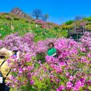 서호농장 이미지