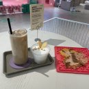 KNOLLO(놀로) 이미지