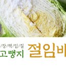 별빛담은마을 이미지