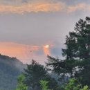 상지농장 이미지