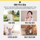 (주)한국멜스몬