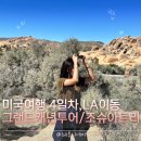 사우스타임모텔-겨울연가 | 미국 4일차, 1박2일 그랜드캐년 투어 후기(내돈내산) + 조슈아트리 / LA출발-라스베가스도착 | 루트66...