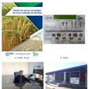 KOPIA, 우량 신품종 벼~ 파라과이 시범재배 시작... 이미지