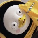 거성태권도 이미지