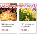 삼천리목장 이미지