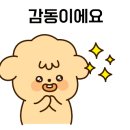 치키치키비산점 이미지