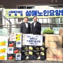 금성과일