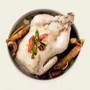 애니핏그라운드 이미지