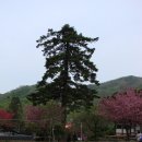 경준목장 | 선암사 - 전남 순천 2008 [1]